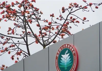 Нова поръчка Express|Авиационни тестови стендове спечелиха офертата на Пекинс...